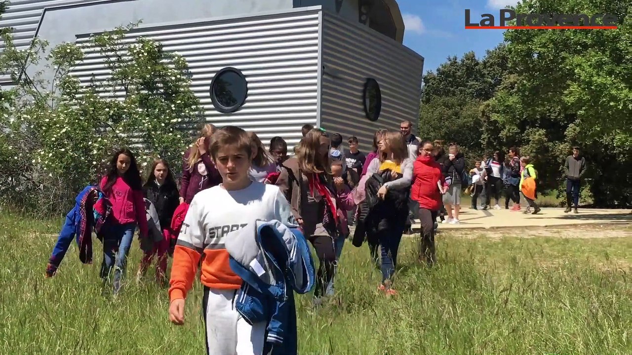 Alpes-de-Haute-Provence : pendant un an, ces minots ont eu la tête dans les étoiles