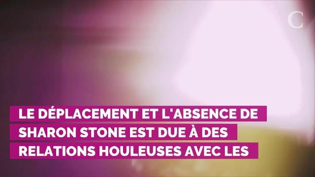 PHOTOS. Gala de l'amfAR : quand Sharon Stone faisait le show et que les people ne boudaient pas l'événement