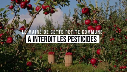 Ce maire se soucie de la santé de ses citoyens et interdit les pesticides près des habitations