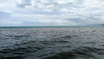 Karadeniz'in rengi değişti