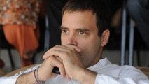 Rahul Gandhi की शर्मनाक हार पर Maneka Gandhi का तंज, राजनीति कोई बच्चों का खेल नहीं | वनइंडिया हिंदी