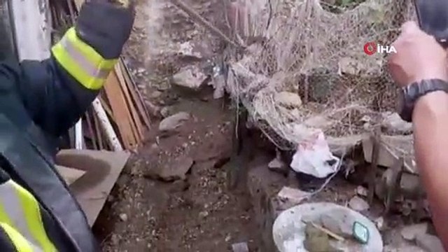 Ağlara takılan Kara Yılan itfaiye ekiplerini seferber etti