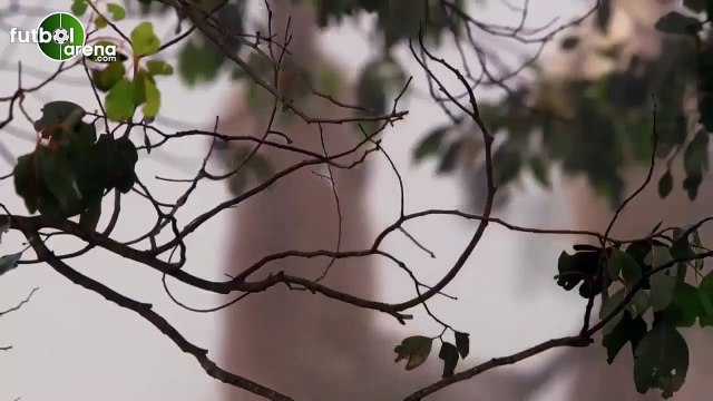 Başakşehir, Aziz Behich transferini böyle duyurdu