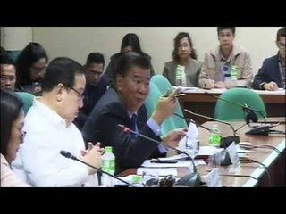 Drilon: No 2019 budget allocation to construct ‘child reform centers’
