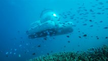 Uber dives into project with Australian state to offer world’s first ‘ScUber’ submarine-hailing service