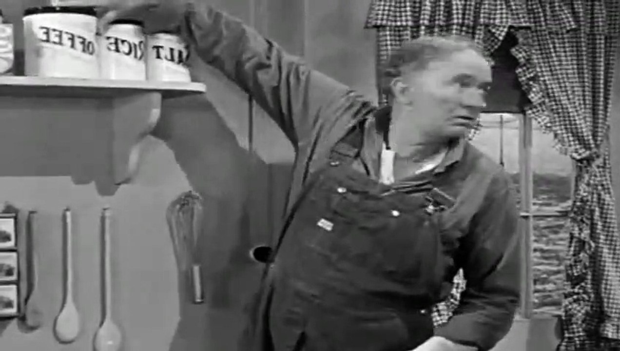 The Real McCoys  S 01 E 10  Little Lukes Education