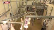 Découverte d'un abattoir 
