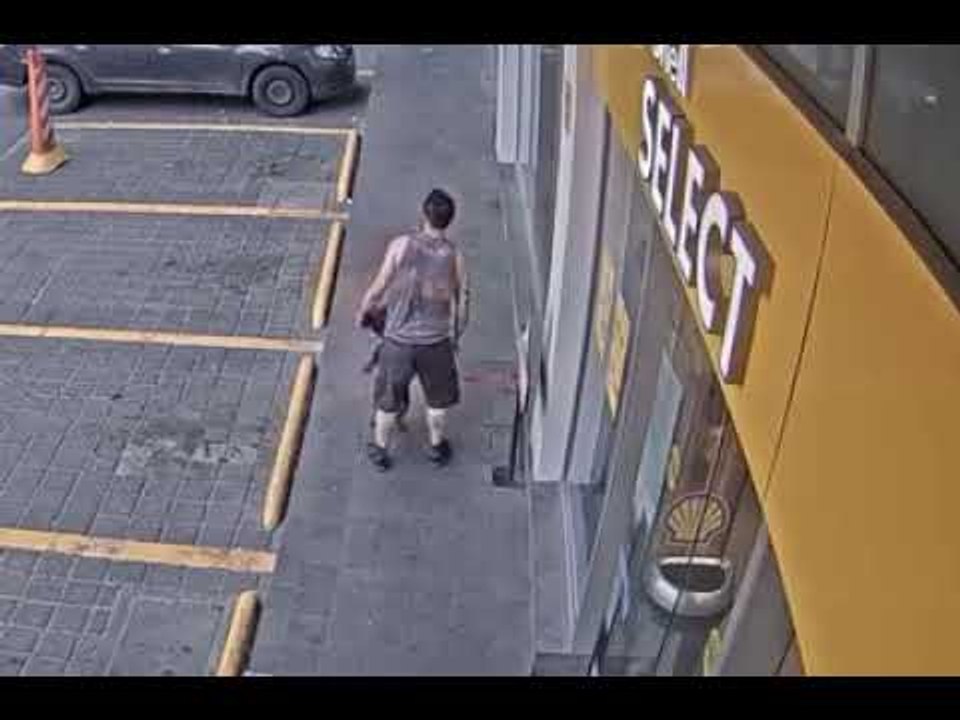 Roban a perro de nombre Bayo en la Benito Juárez
