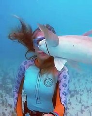 Quand un poisson refait la coiffure d'une plongeuse, voici ce que ça donne !