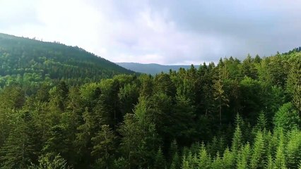 Сборник Христианские песни 4K