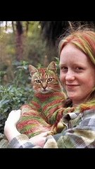 FUNNY PAINTED CATS