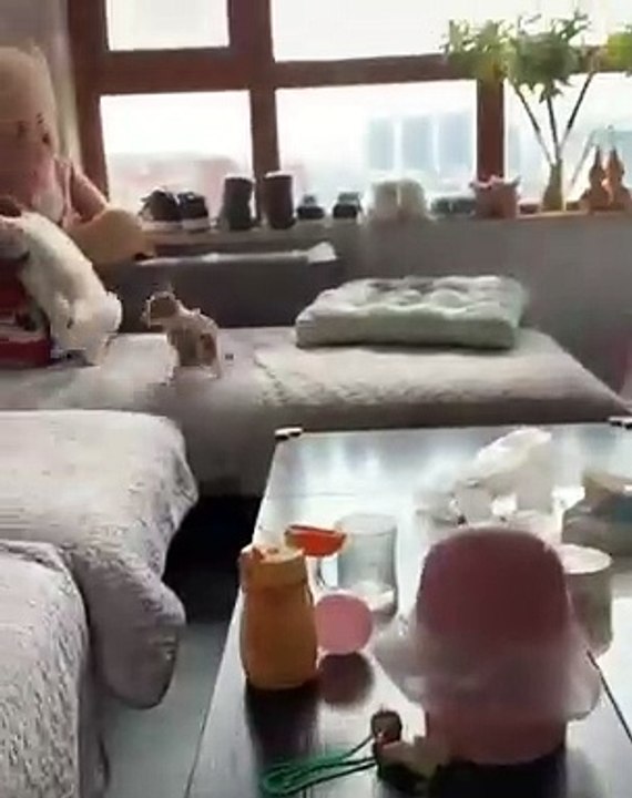 Partie de course entre un lapin et un chiot sur le canapé. Adorable !