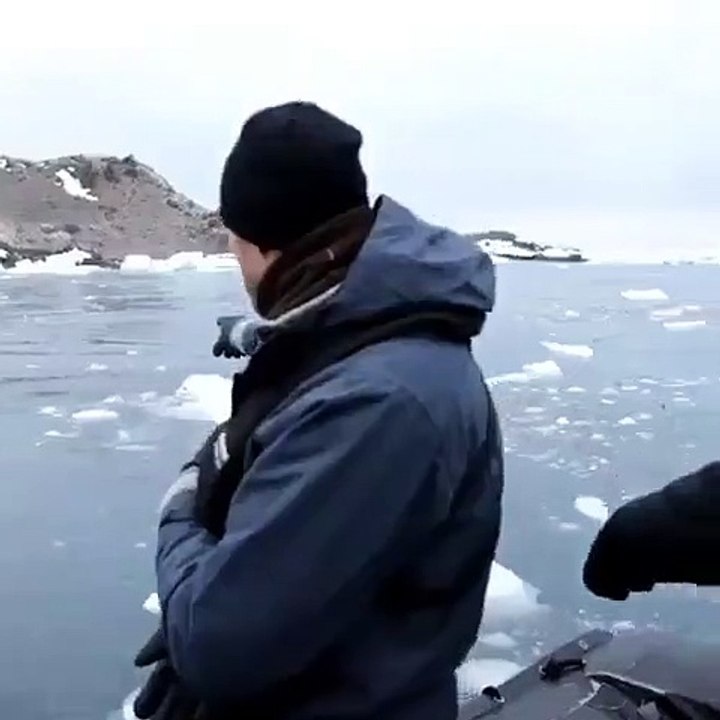 Quand un pingouin repart aussi vite qu'il est arrivé sur un bateau. Hilarant !