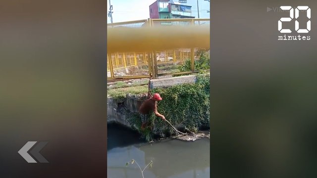 Ces frères sont des sauveurs - Le Rewind du Vendredi 24 Mai 2019