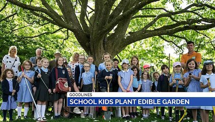 GOODLINES: 25th May 2019