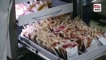 Nous avons  moins de 40% de dons de sang durant le ramadan