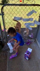 Adding Some Padding to the Fence