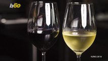 Red or White? What Your Wine Pick Says About Your Personality