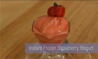 How to Make Frozen Yogurt Recipes without an Ice Cream Maker