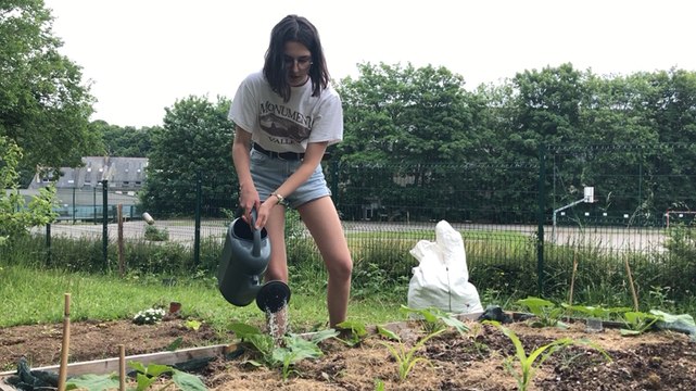 Les lycéens donnent vie au jardin collectif