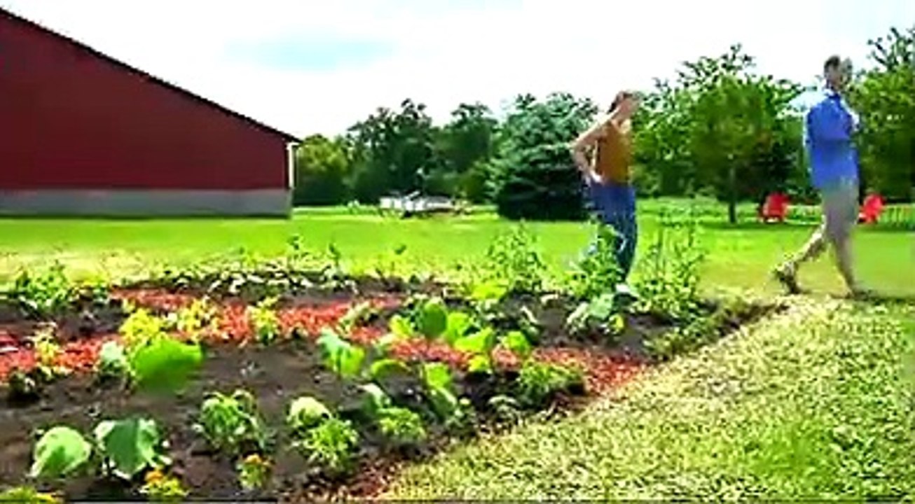 Counting Backwards Trailer
