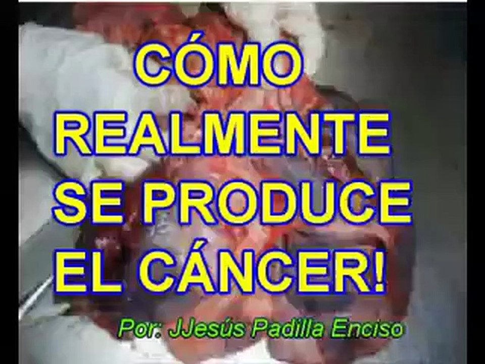 CÓMO REALMENTE SE PRODUCE EL CÁNCER