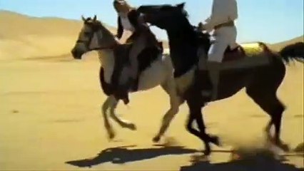 antti martikainen | at the gates of babylon *die wüstenärztin*