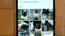 Lu Explica: Como criar suas próprias figurinhas no WhatsApp de forma simples