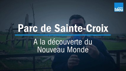 Plus que quelques jours avant l'ouverture du Nouveau Monde...