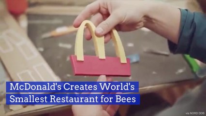 Bees Are Getting Their Own Dollar Menu