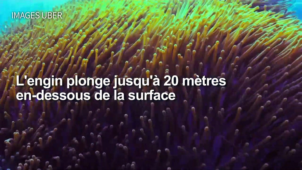 Un sous-marin Uber pour découvrir la Grande barrière de corail