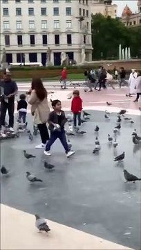 Ce gamin joue à Angry Birds dans la vraie vie !