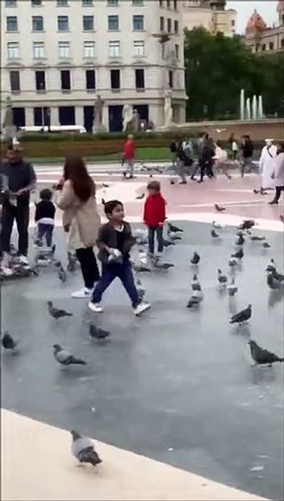 Ce gamin joue à Angry Birds dans la vraie vie !