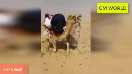 Top funny videos ⏩ world most funny video ever 2019 ⏩ funny arab video clips 2019