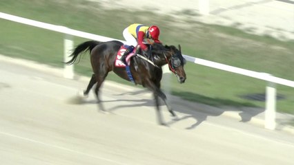 '문학치프' 제19회 YTN배 대상경주 깜짝 우승 / YTN