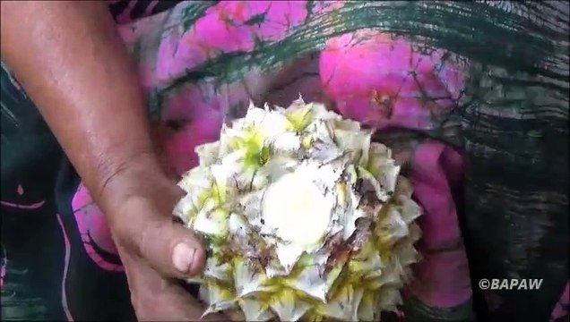 Village des Aliments Biologiques, Chutney d'Ananas préparés dans mon Village par ma Maman