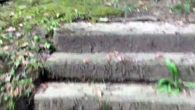 Peter Jackson May Damage Your Fittness from Minimus by Caalamus