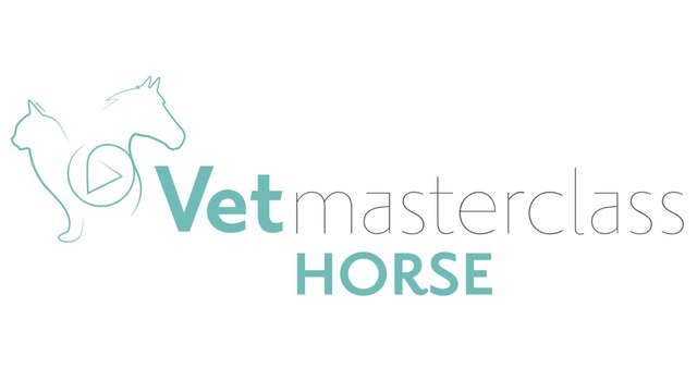Vetmasterclass - Horse - Ecran