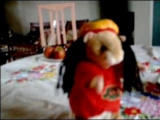 Musique Canaille peluche