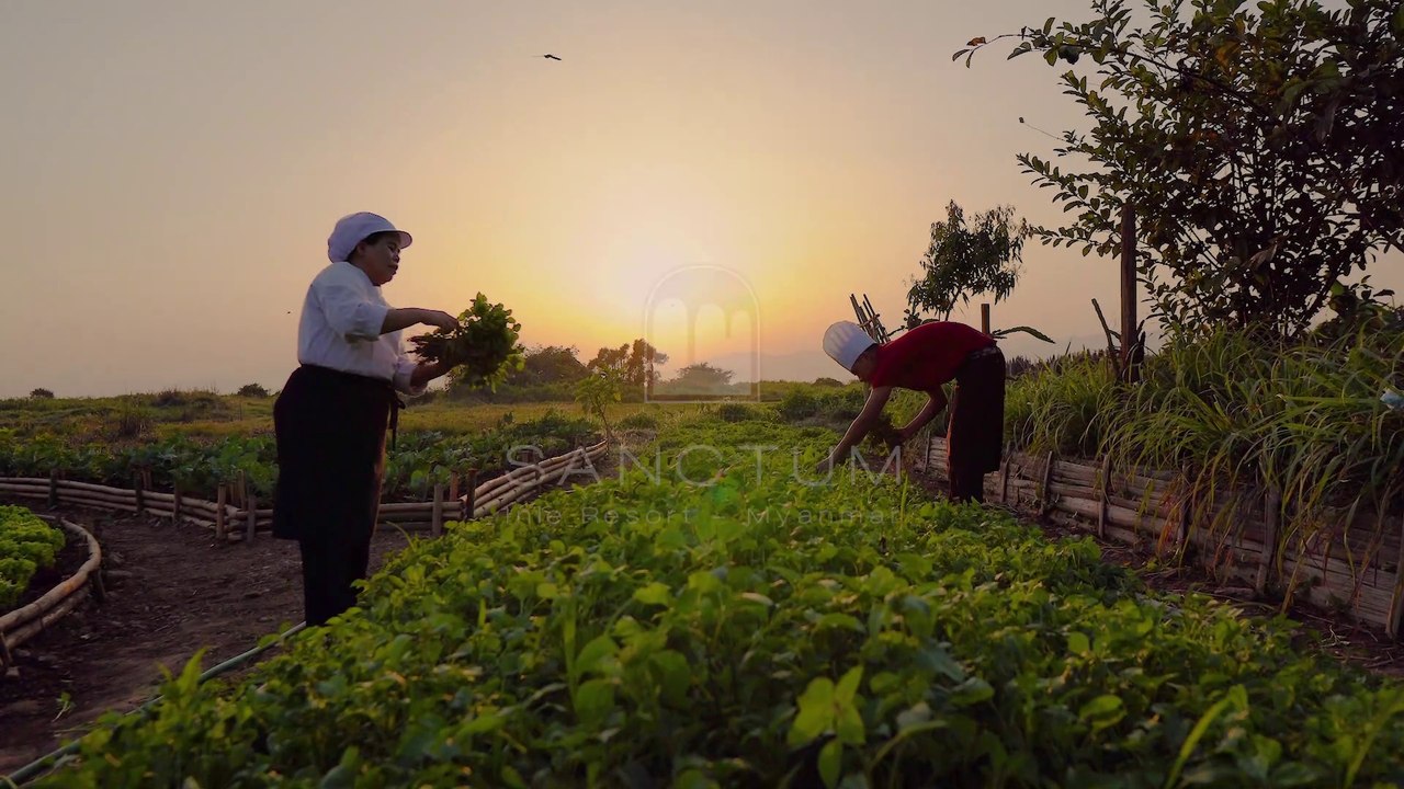 Inle Lake - Explore Sagar Pagodas with Sanctum Inle Resort, Myanmar