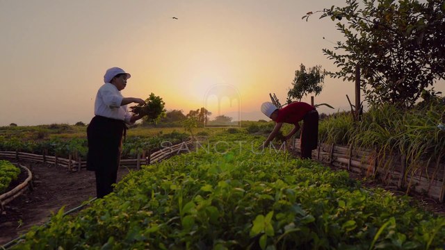 Inle Lake - Explore Sagar Pagodas with Sanctum Inle Resort, Myanmar