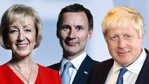 İngiltere'de iktidardaki Muhafazakar Parti'nin olası yeni lider adayları