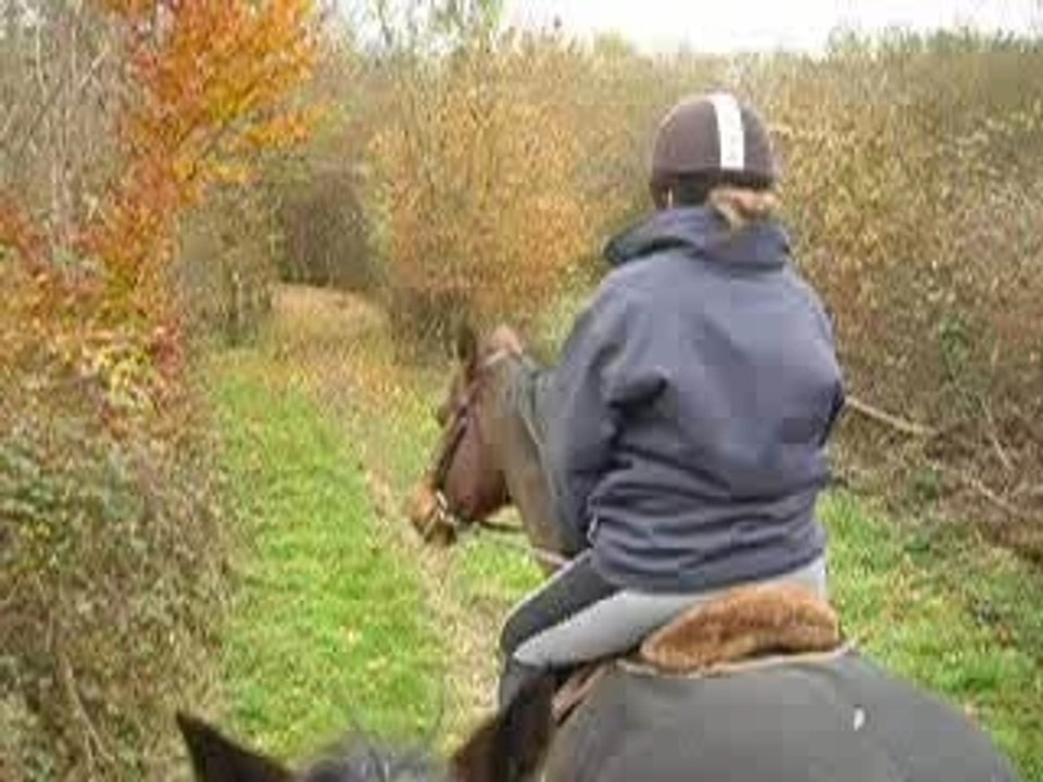 Flam et caty au galop