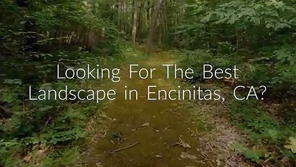 PB's Greenthumb Landscape in Encinitas, CA