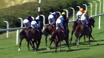 검빛경마 M A 892 점 NET