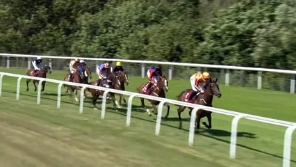 사설경마정보 ma892.net