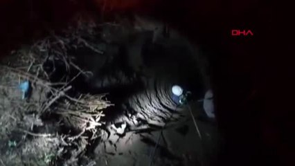 Van'da su kuyusuna düşen oğlak, itfaiye ekipleri tarafından kurtarıldı