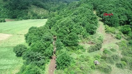 KOCAELİ Ağdacı Kandıra'da taş ocağı için 5 bin ağaç kesilecek