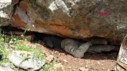 SİİRT Eruh'ta PKK'lı teröristlerin silah ve mühimmatı ele geçirildi