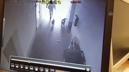 Almanya'da camiye kundaklama girişimi